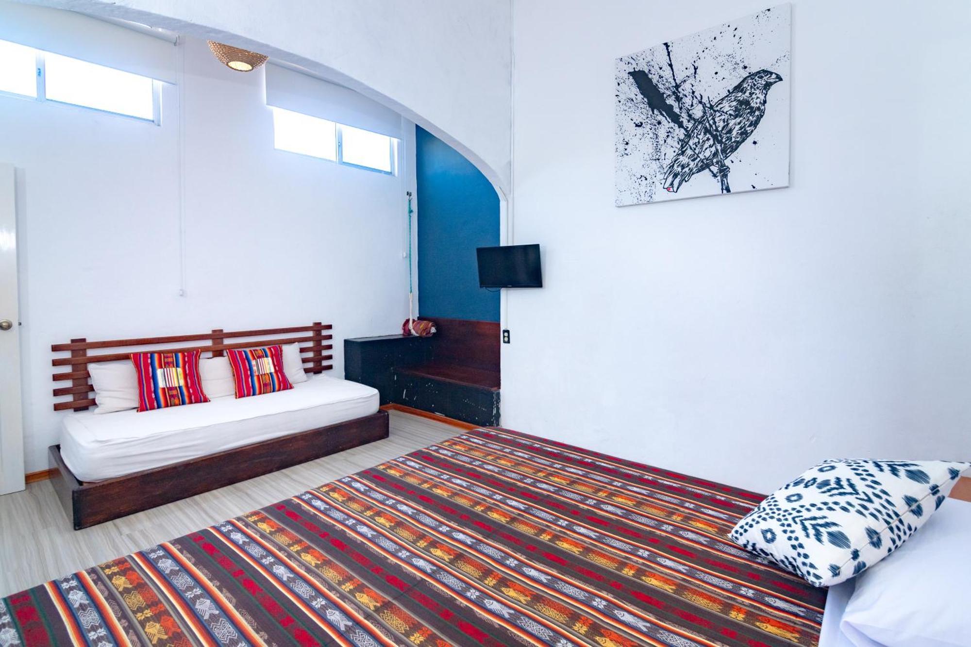 La K-Leta Boutique Guesthouse Puerto Ayora  Kültér fotó