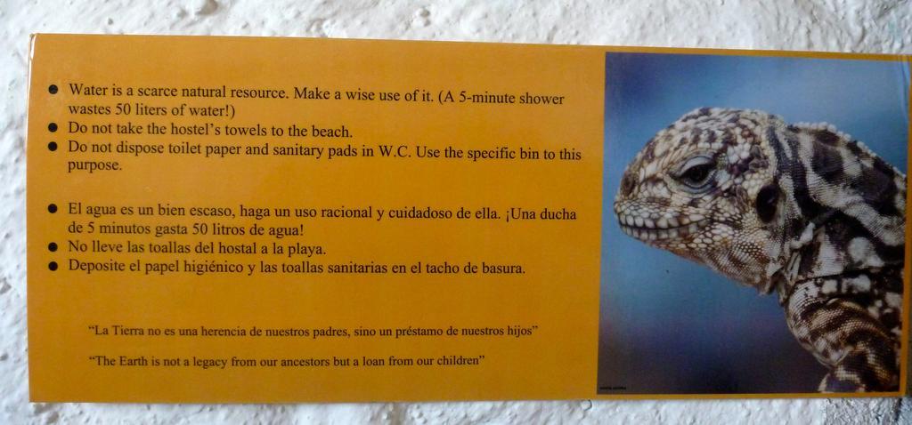 La K-Leta Boutique Guesthouse Puerto Ayora  Kültér fotó